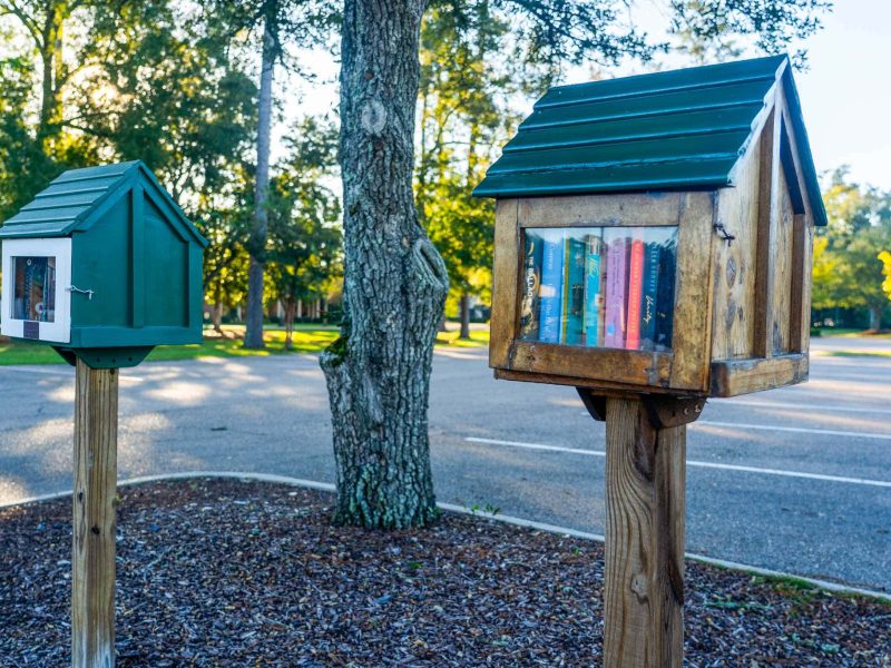 LITTLE LIBRARY-2